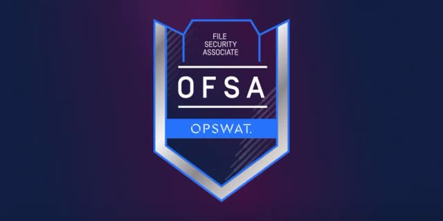 File Security Associate